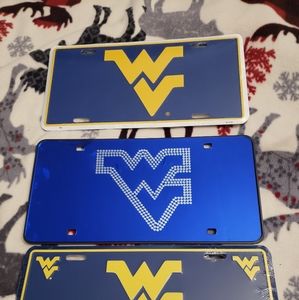 WV license plates  (2)